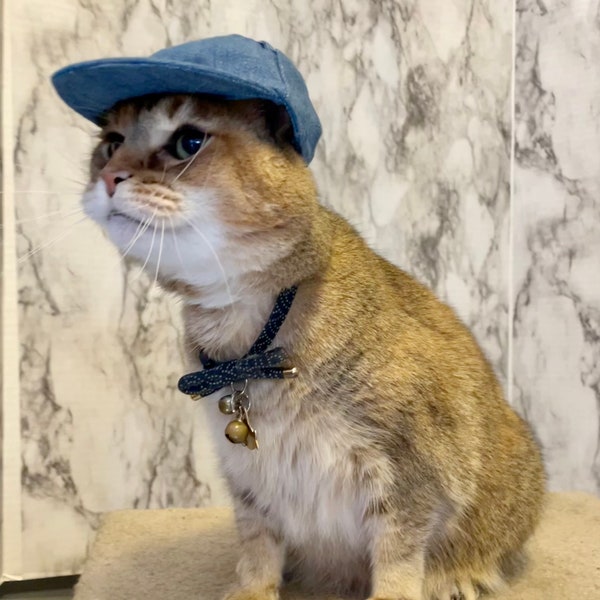 Cloth Blue Baseball Cat Hat - Baseball Cap - Backwards Hat
