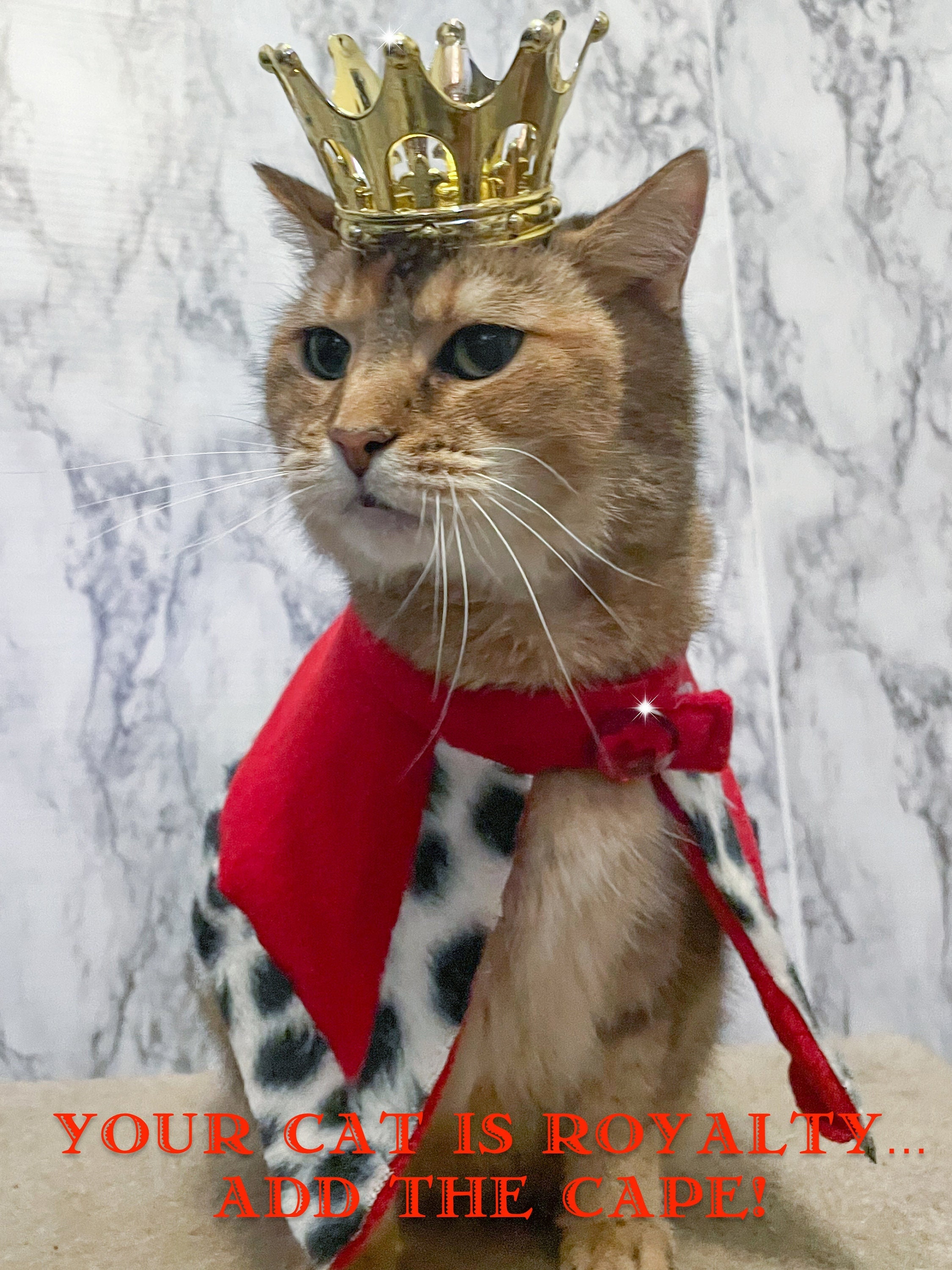 Light Cat Crown - Cat King or Queen Crown for Cat - Crown for dog - Crown for pet - dog crown - pet crown