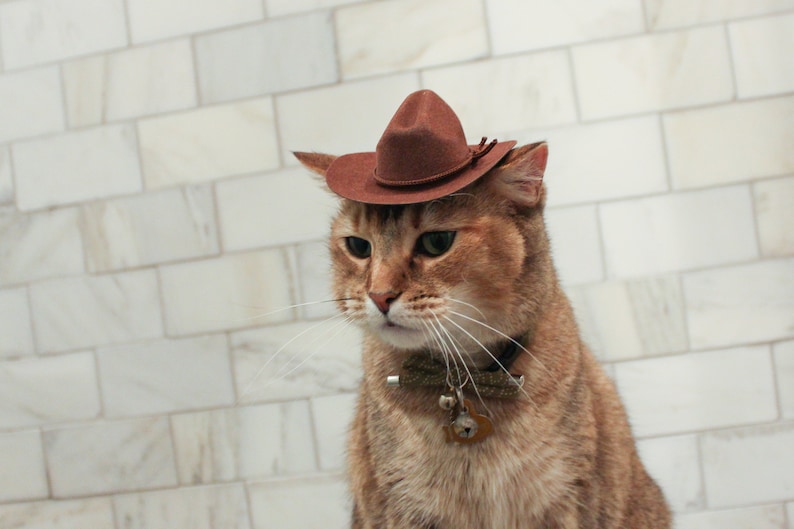 Brown Cowboy Cat Hat FREE SHIPPING image 4