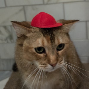 Red Baseball cap for your Cat - Cat Hat
