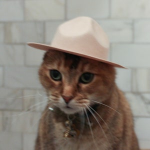 Lg. Canadian Mountie/Smokey the Bear Cat Hat for your Cat