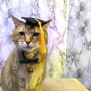 Gorro de graduación de tamaño mini para tu gato ENVÍO GRATIS Color de borla personalizado adicional imagen 3