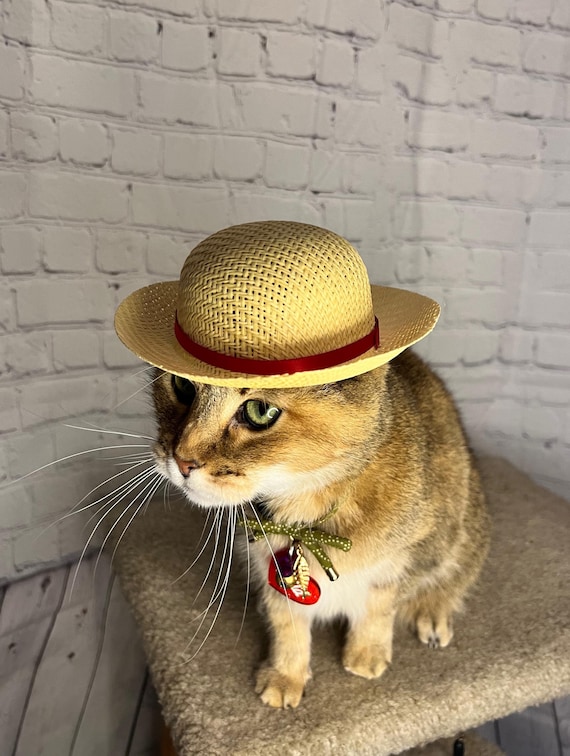 Anime Inspired Pirate Straw Cat Hat for Your Cat! Anime Straw Hat
