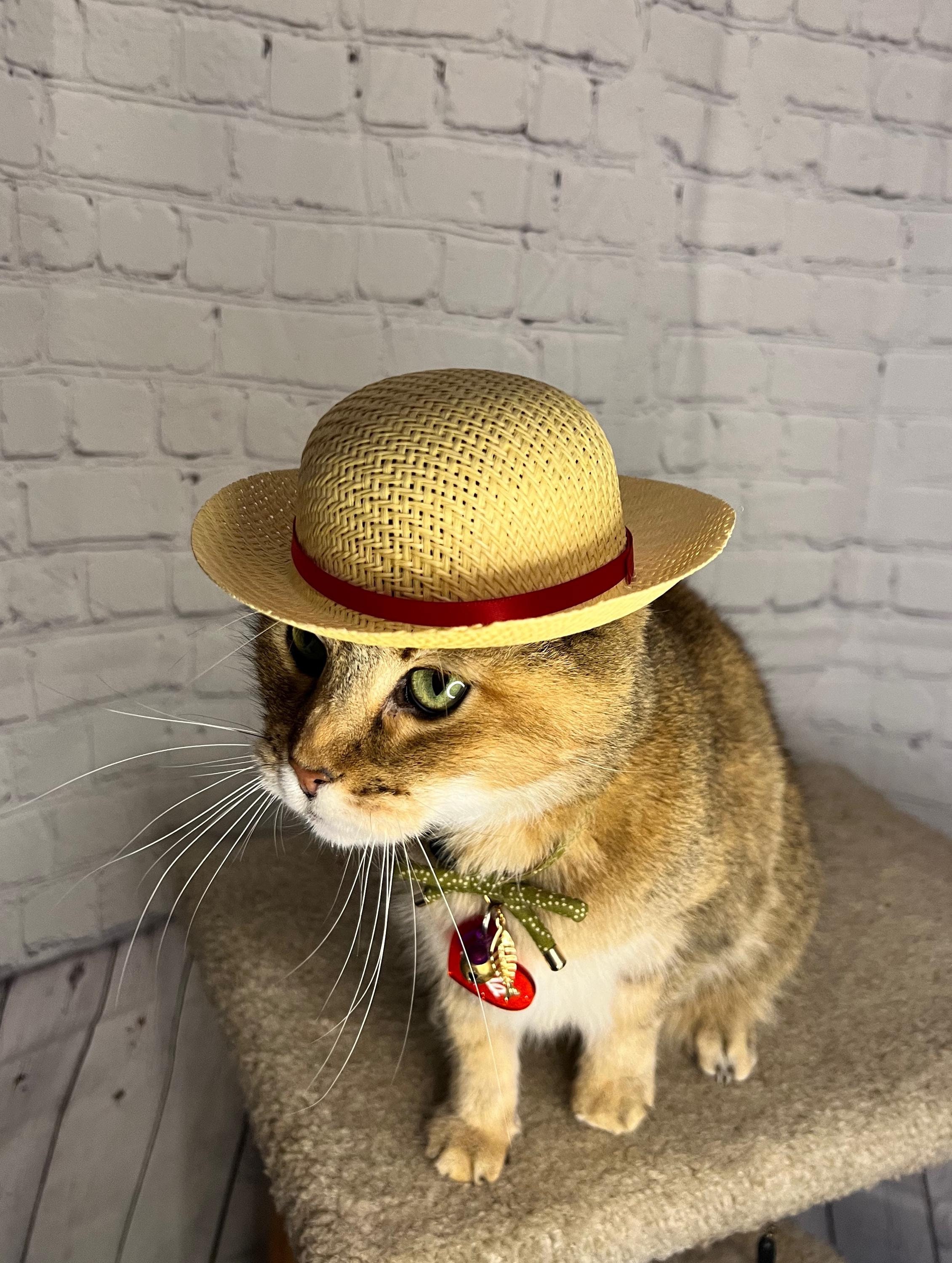 Anime Inspired Pirate Straw Cat Hat for Your Cat! Anime Straw Hat