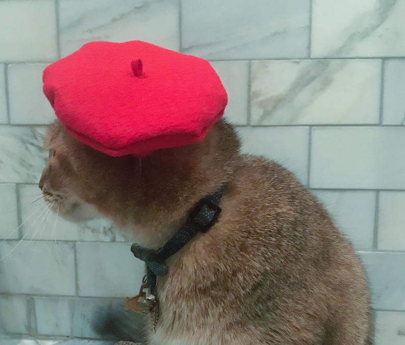 Red Beret Hat for your Cat FREE SHIPPING image 6