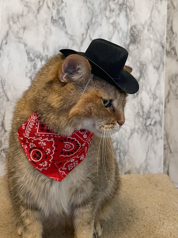 Black Cowboy Cat Hat FREE SHIPPING - Etsy UK
