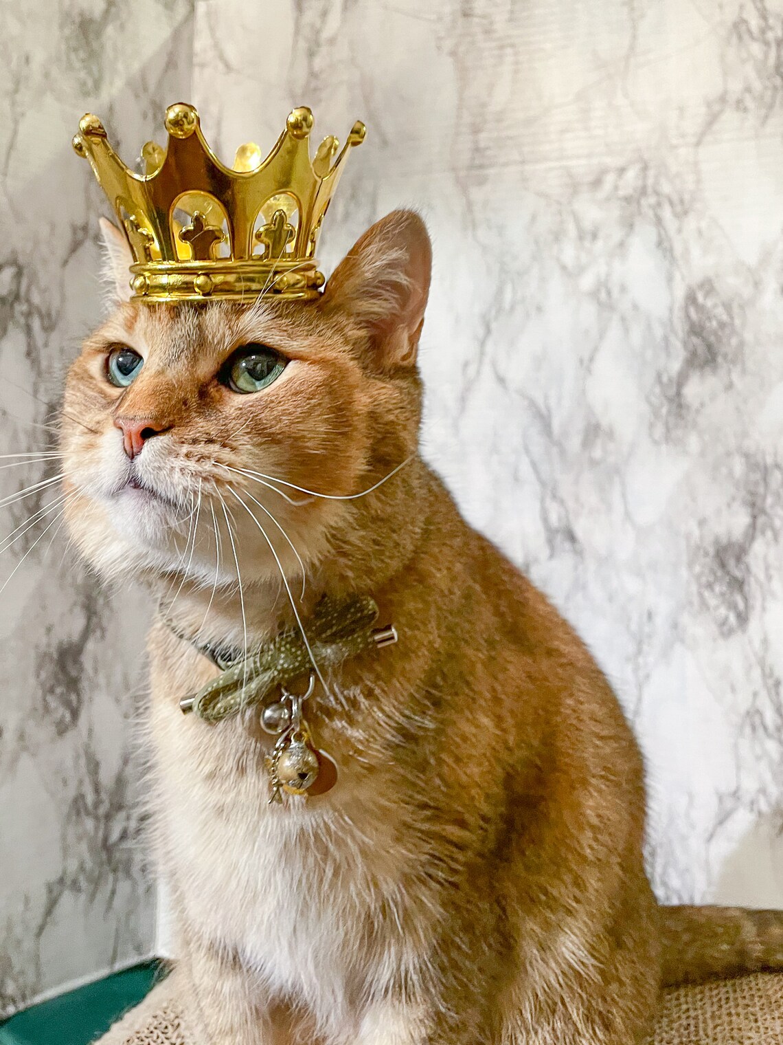 Leichte Katze Krone Katze König oder Königin Krone für Katze | Etsy