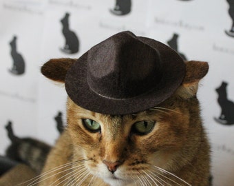 Trooper Cat Hat for your Cat, Ranger hat for your Cat