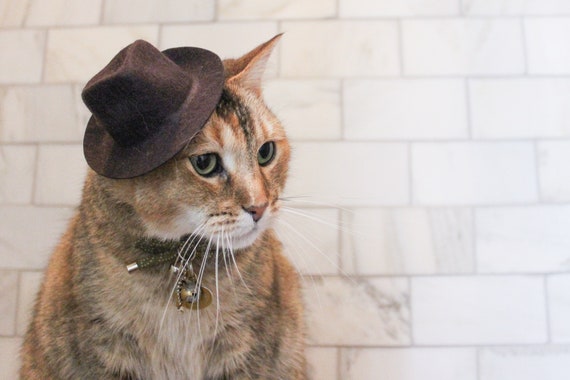 Cat Indiana Jones Hat for Dog 