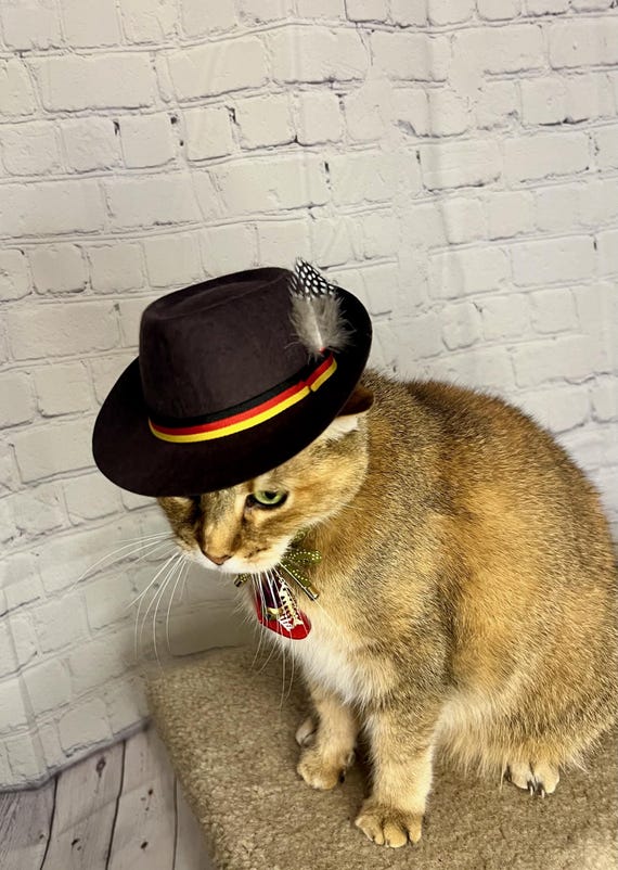 Chapeau Fedora Oktoberfest Avec Plume - Traditionnel Allemand Pour Fête De La Bière, Festivals Et Plage - Pour Hommes