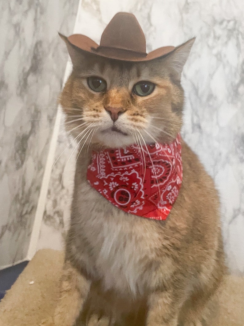 Brown Cowboy Cat Hat FREE SHIPPING 
