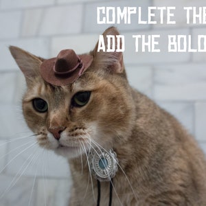 May include: A brown tabby cat wearing a brown cowboy hat and a silver bolo tie. The cat is looking to the left of the frame. The text "COMPLETE THE SET ADD THE BOLD TIE" is written in white letters on a white tiled background.
