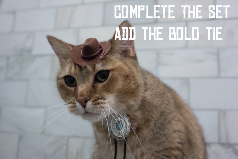 May include: A brown tabby cat wearing a brown cowboy hat and a silver bolo tie. The cat is looking to the left of the frame. The text "COMPLETE THE SET ADD THE BOLD TIE" is written in white letters on a white tiled background.