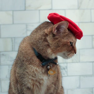 Red Beret Hat for your Cat FREE SHIPPING image 8