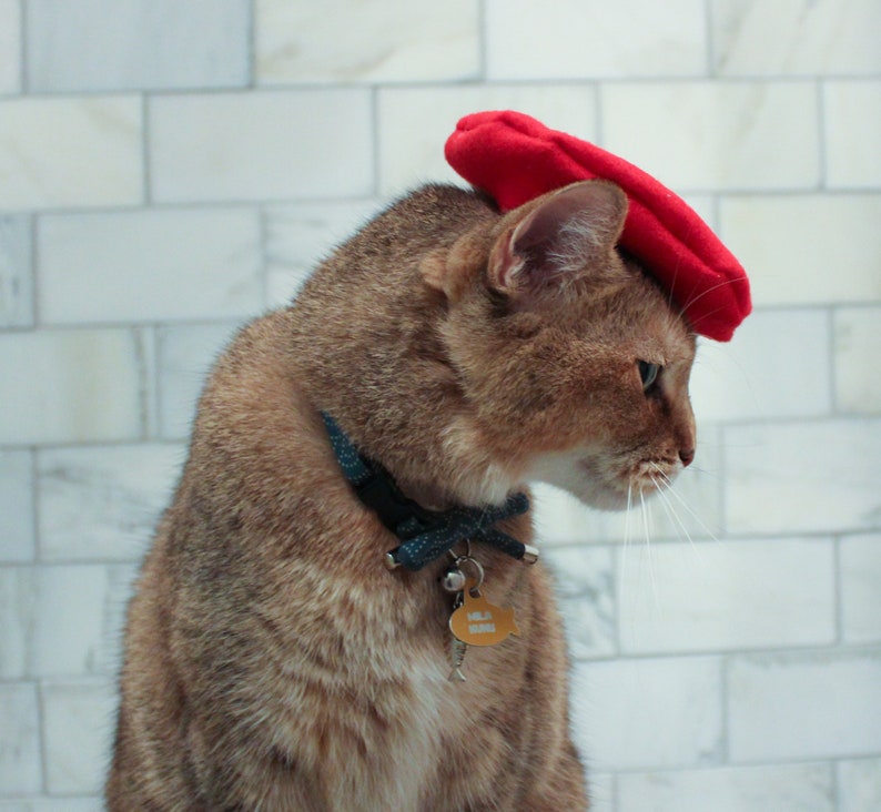 Red Beret Hat for your Cat FREE SHIPPING image 8