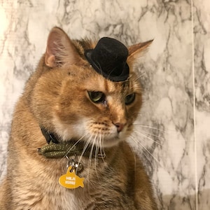 Mini Black Top Hat Cat Hat for your Cat!