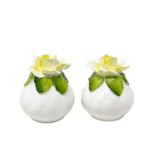 Healacraft Bone China Yellow Rose Salt & Pepper Shakers Set Made in England