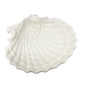 May include: A white ceramic seashell dish with a detailed, textured design. The dish is shaped like a large seashell with a scalloped edge.