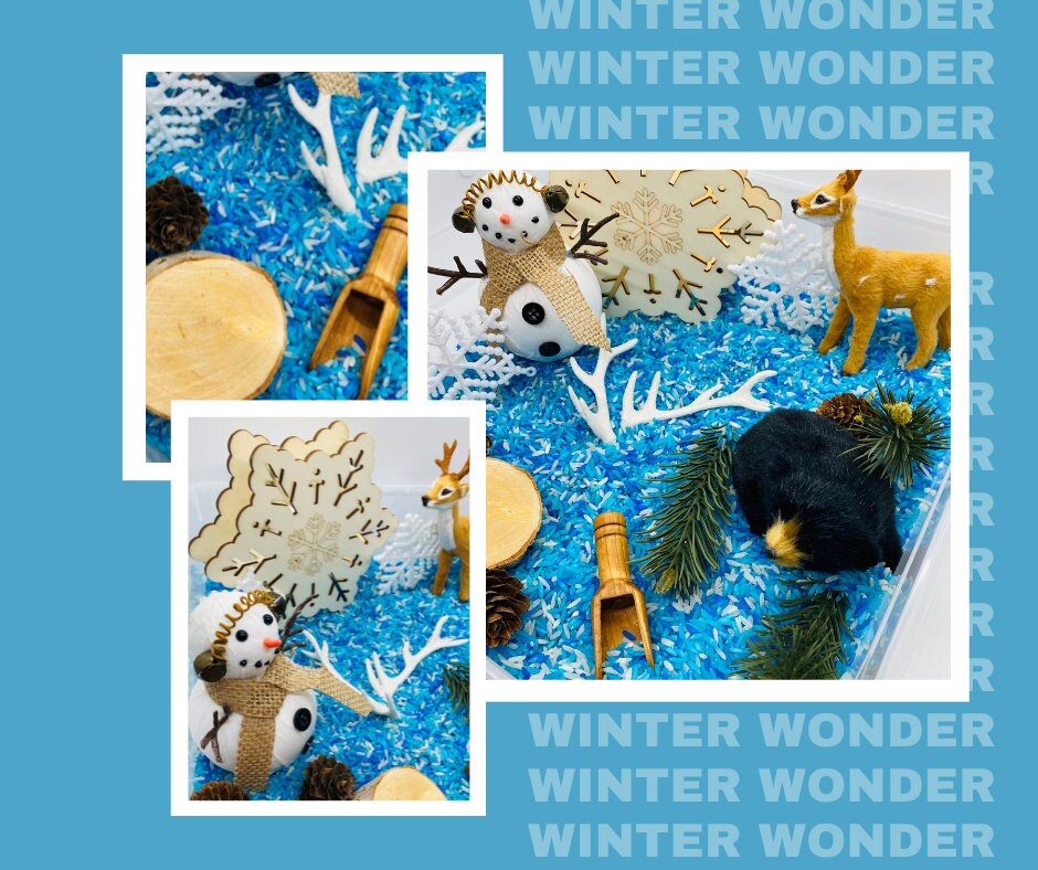 Winter Sensory Bin Polar Sensory Kit Montessori Small World Play Loose  Parts Open Ended Play Messy Play Kids Gift Fine Motor Skills Autism 