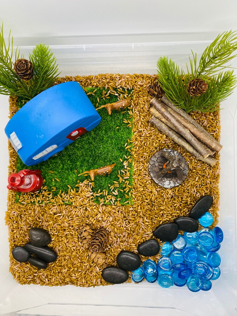 Camping Sensory Bin Nature Sensory Bin Forest Exploration Sensory
