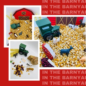 Farm Sensory Bin | Farm Animals | Barnyard Animals | Farming Sensory Bin Kit | Occupational Therapy Kit | Speech Therapy Tool | Old McDonald