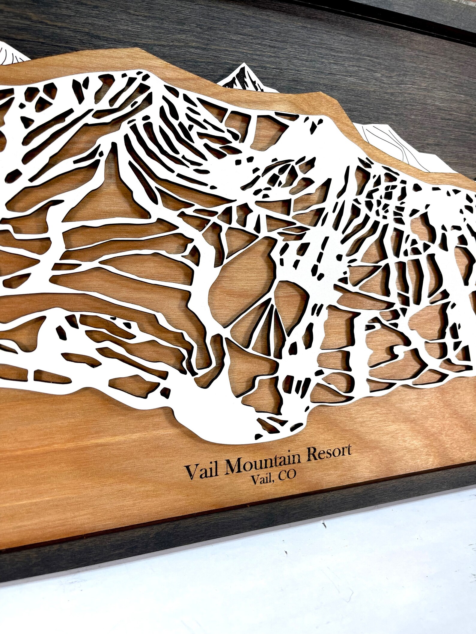 Vail Mountain Resort Vail CO Ski Trail Map Mountain Map - Etsy