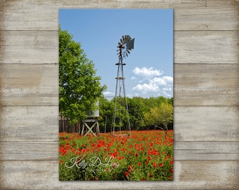 Castroville Poppies, mounted print, canvas wrap or metal. Vibrant colors perfect decor for country home, ranch, cabin or modern farmhouse.