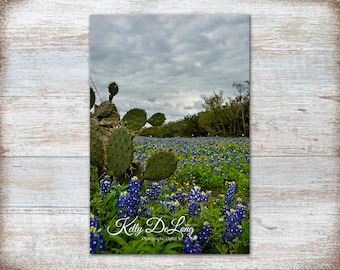 Texas Bluebonnets and Prickly Pear, mounted print, canvas wrap, or metal. Perfect for country, ranch home, cabin or modern farmhouse