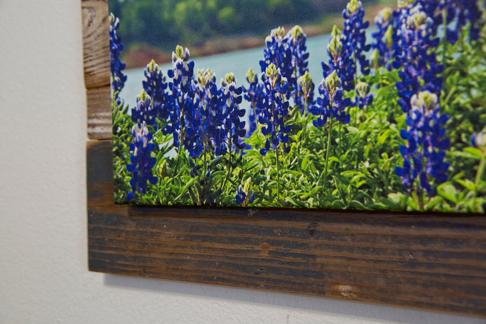 Muleshoe Bend Canvas Wrap Mounted on Reclaimed Etsy