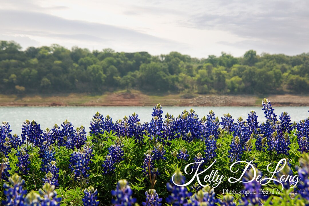 Muleshoe Bend Lake Travis Print, Canvas Wrap or Metal