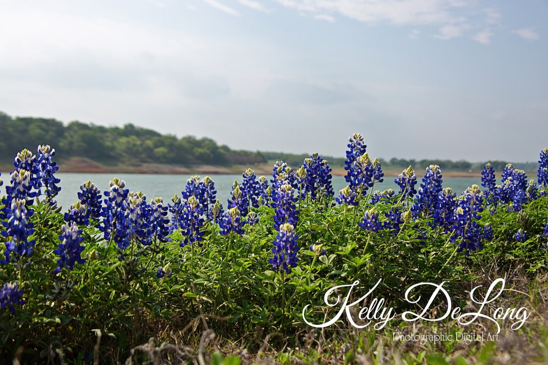 Muleshoe Bend Lake Travis Print, Canvas Wrap or Metal