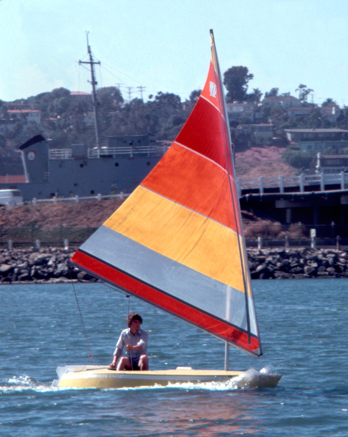 mini cup sailboat