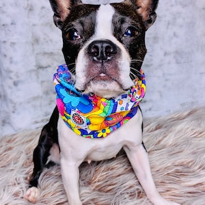 Bright Summer Pet Scarf: Handmade Reclaimed Fabric Infinity Scarf