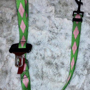 A short adjustable leash with a handle, that connects to your dogs harness and then buckles right into the receiver in your vehicle.