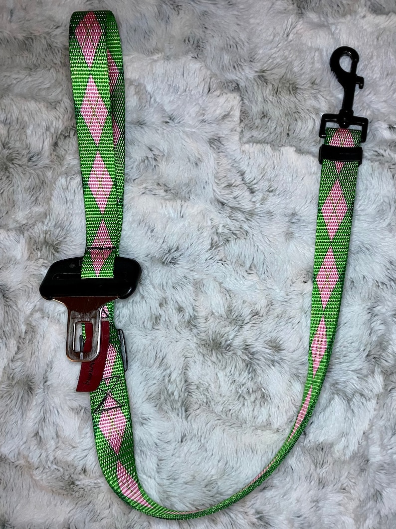 A short adjustable leash with a handle, that connects to your dogs harness and then buckles right into the receiver in your vehicle.