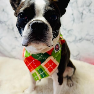 Puede incluir: Un perro Boston Terrier blanco y negro con un pañuelo de cuadros verde, rojo y blanco. El perro está sentado en una superficie blanca y esponjosa.