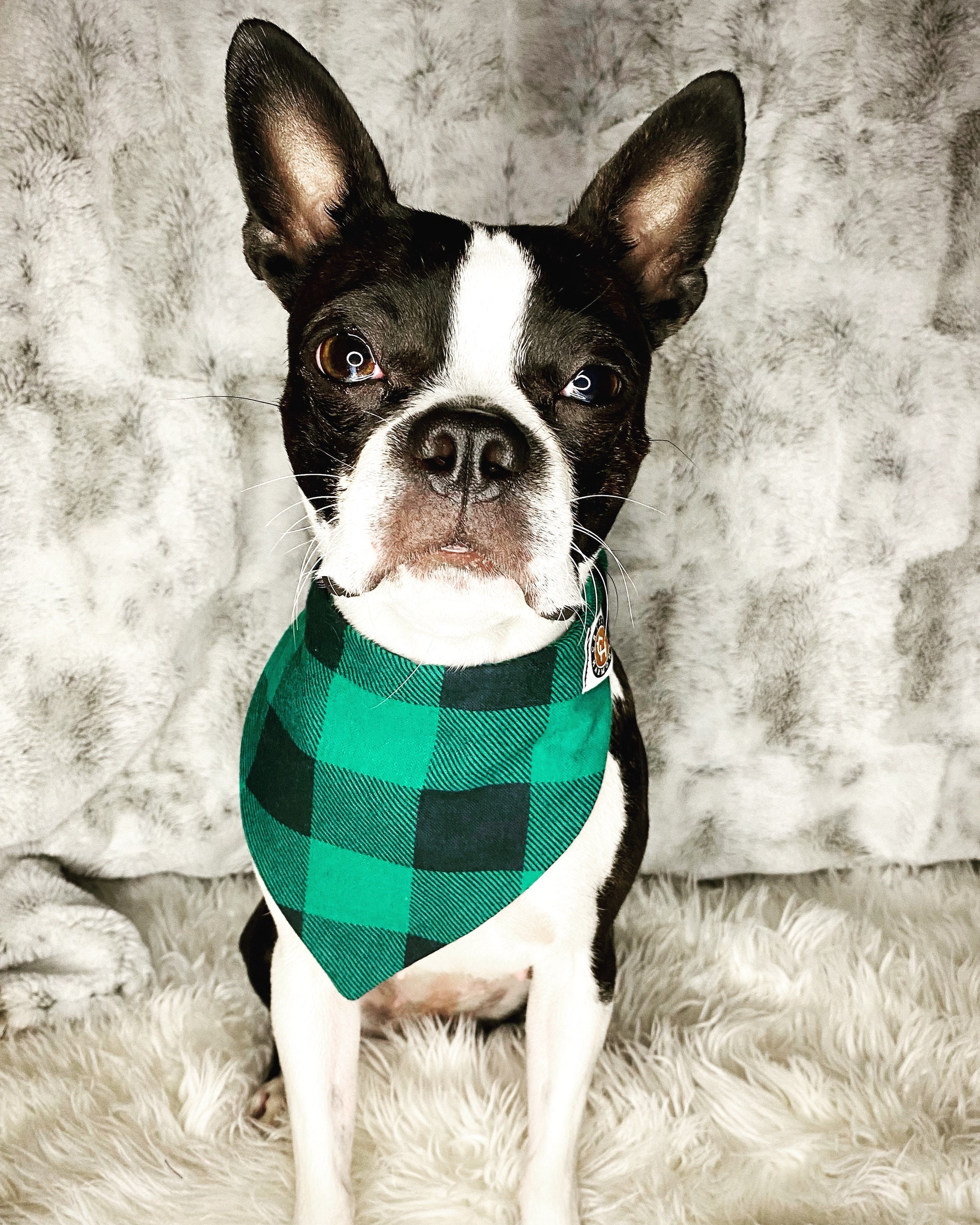 Green Plaid Dog Bandana Cat Bandana Unique Custom Elastic Etsy