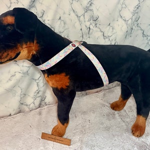 May include: A black and brown dog wearing a white and pink patterned dog harness.