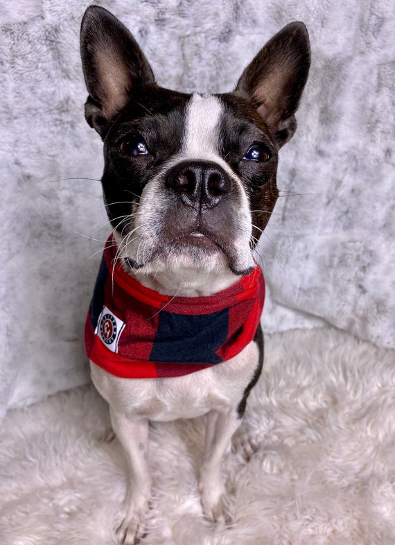 Plaid dog scarf hot sale