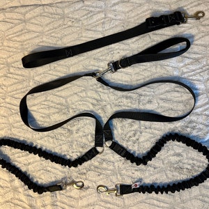 1 ”Tandem Bungee Hundeleinen-System Multi Hundeleine, Freisprech- / Griffoption Doppelte Leine um die Taille, handgefertigtes Critter Harmony Polyester
