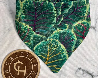 Botanical House Plant Mom Dog or Cat Bandana: Handmade No Tie Pet Bandana