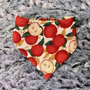 May include: A white bandana with a red apple print. The apples are red with green leaves and some have a yellow center.