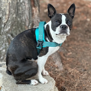 Dog backpack for large dogs discount