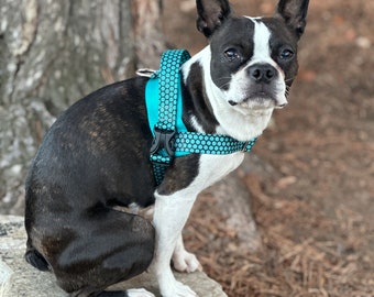 Comfy Canine Adventure Dog Harness: Easy-On Design for Happy Pups! 1” Wide Polyester Perfect for Medium to Large Dogs, Up Cycled Pup Gift