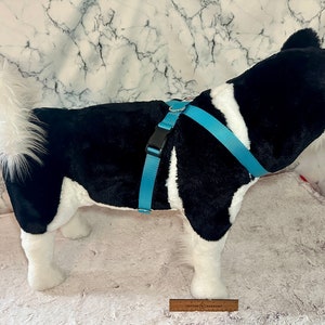 Free Movement Xfinity Dog Harness: Easy-On Design for Happy Pups 1 Wide Polyester Perfect for Medium to Large Dogs, Large Doggos Pup Gift image 5
