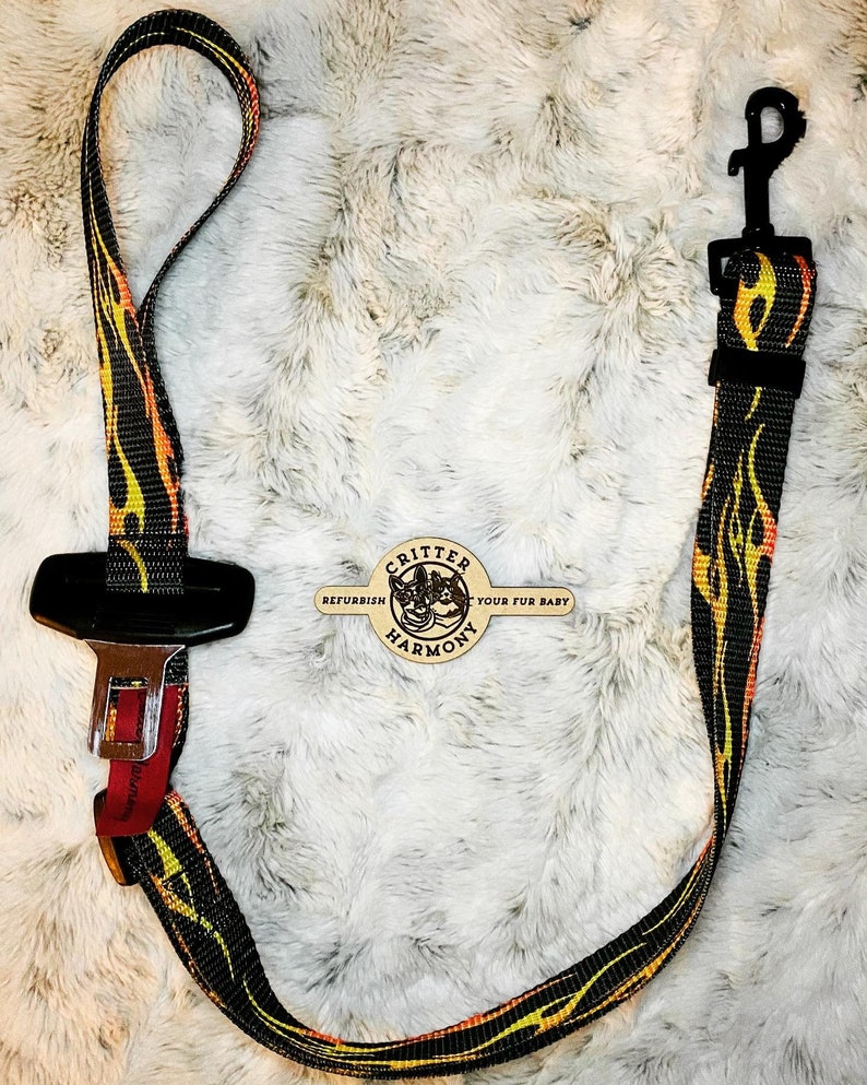 A short adjustable leash with a handle, that connects to your dogs harness and then buckles right into the receiver in your vehicle.