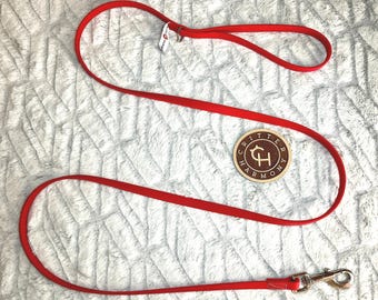 Biothane Dog Leash: Strong, Waterproof, Stinkproof Puppy Training Lead