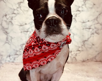 Vintage Red Quilted Dog Bandana, Cat Bandana, Unique Custom Elastic Design, Handmade Critter Harmony Reclaimed, Reversed Fashion Accessory