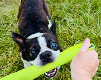 Upcycled Hose Floating Dog Chew Stick, tough tug, chew toy, FLOATS