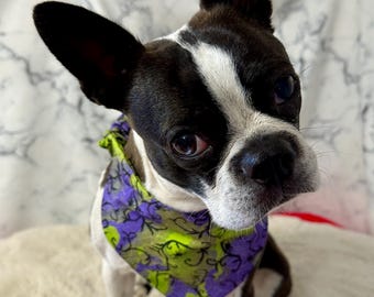 Halloween Spider Dog Bandana: Purple Green Pet Bandana